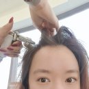 월성동미용실::살롱드리썸 민주쌤 두피클리닉 후기