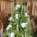 오송 호수공원 화장실 1 | 오송역.오송호수공원 맛집.본미옥