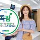 내고향도우미