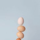 웰밸런스 이미지