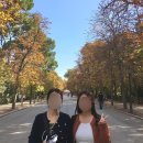 핑크드림작은도서관 | 🇪🇸 MADRID