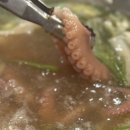 튼실이네산낙지전복 이미지