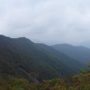 찬물내기 이미지