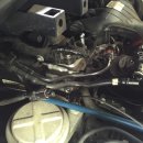 신호카포스 이미지