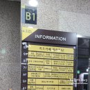 [위례] 다양한 장난감과 트램폴린이 있는 아이랑 가볼만한 키즈카페, &#39;위키즈52&#39; 후기