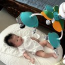 육아 일지 52 55일 아기 스타벅스 프리퀀시 구미 일상 해산 한의원