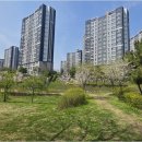 고유공인중개사사무소 네이버블로그