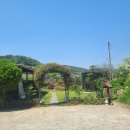 정들고펜션2 이미지