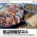 용궁미가 | 오시리아 맛집 | 용궁해물칼국수 - 기장 롯데아울렛 근처 해물가득 조개전골 후기