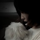 곰PC라운지 이미지