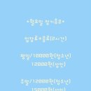 춘천 고양이집 이미지