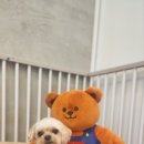 쓰담케어 이미지