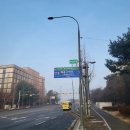 세연중학교 절대정화구역 | [일상] 2월 - 건물 사이에 피어난 장미🌹 꺾이지 마 잘 자라줘🌝