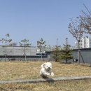 송산유치원 이미지