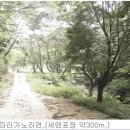 나만의계곡 이미지