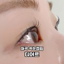 마곡중앙10로 | 마곡역 속눈썹펌 디어르 LU컬 후기
