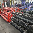 에이스GYM