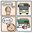 "5번 버스타고 와" 이미지