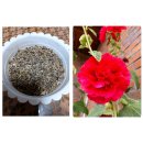 GS25복수계룡점 이미지