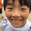 토레스트 이미지