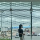 젠틀리조트 이미지