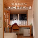 돌담에꽃머무는집 | 제주 서귀포 대평리 숙소 돌담에 꽃 머무는 집/1인실 후기/조식/바다뷰