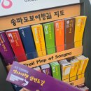 송파관광정보센터 | 잠실 석촌호수 송파관광정보센터 10주년을 맞이했습니다