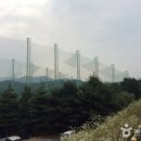 신안낚시터 이미지