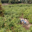 김평진농장 이미지