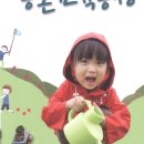 회성농장 이미지