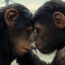 Kingdom of The Planet of The Apes 2024 이미지