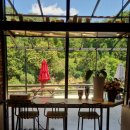 상사의숲 이미지