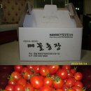 수민 일농장 이미지