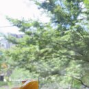 설빙안양예술공원점 이미지