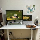 호몰호몰 | 호몰모션데스크 초갓성비 모션데스크 추천(장단점,가격대,제품정보,후기)