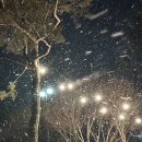스테이 하트