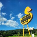 생오리마당 이미지