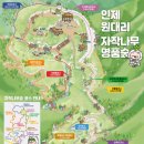 인제12-2 이미지