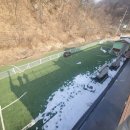 퍼피랜드 이미지