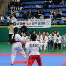 경희대 문무 태권도장 이미지