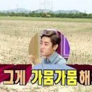 메종로즈 이미지