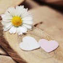 내남초등학교 이미지