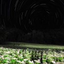 하얀별모텔 이미지