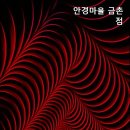 안경마을 금촌점 네이버블로그