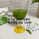 유기농 동결건조 [컬리케일분말] 100% [곱슬케일] [그린쥬스] 디톡스쥬스 추천 재구매 솔직 후기