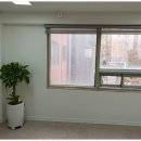 자라나는 수학 교습소 이미지