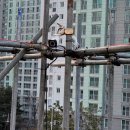 청라건설 | 청라CCTV 건설현장 필수 보안,T-CCTV 설치이야기