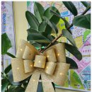 마곡나루부동산공인중개사사무소 이미지