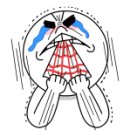 대성당구장 이미지