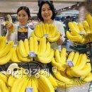 밀도 현대백화점 압구정본점 - 5805 | 밀도 현대백화점 압구정본점